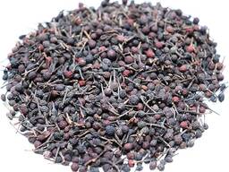 Wild Black Pepper Grains