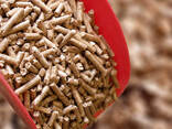 Wood Pellets are the most common type of pellet fuel and are generally made from compacted