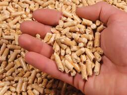 Wood Pellets Biomass Wood pellet