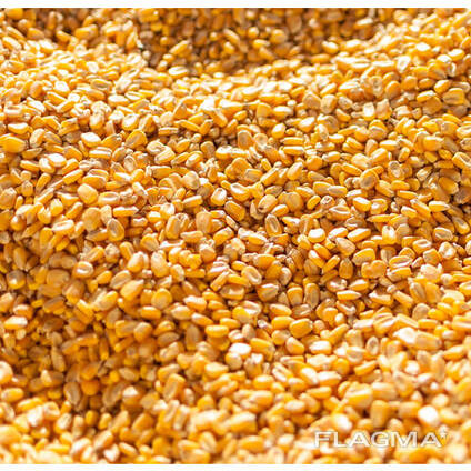 Yellow Corn For Animal Feed