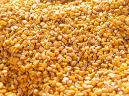 Yellow Corn For Animal Feed