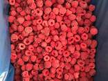 Замороженная малина, вишня - фото 1