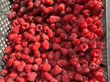 Zusammenarbeit bei der Lieferung von gefrorenen Beeren aus Weißrussland für die Saison 25 - фото 3
