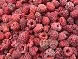 Zusammenarbeit bei der Lieferung von gefrorenen Beeren aus Weißrussland für die Saison 25 - фото 7